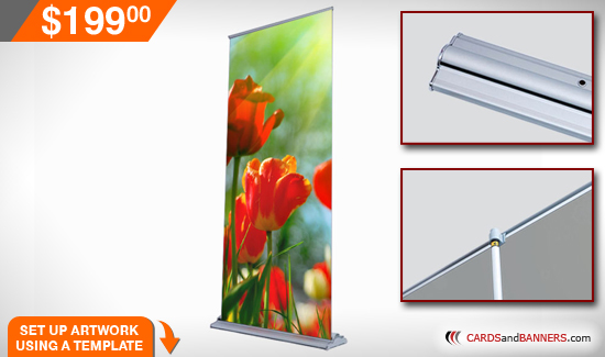 SD Retractable Up to 36\"x 92\" (Silver)